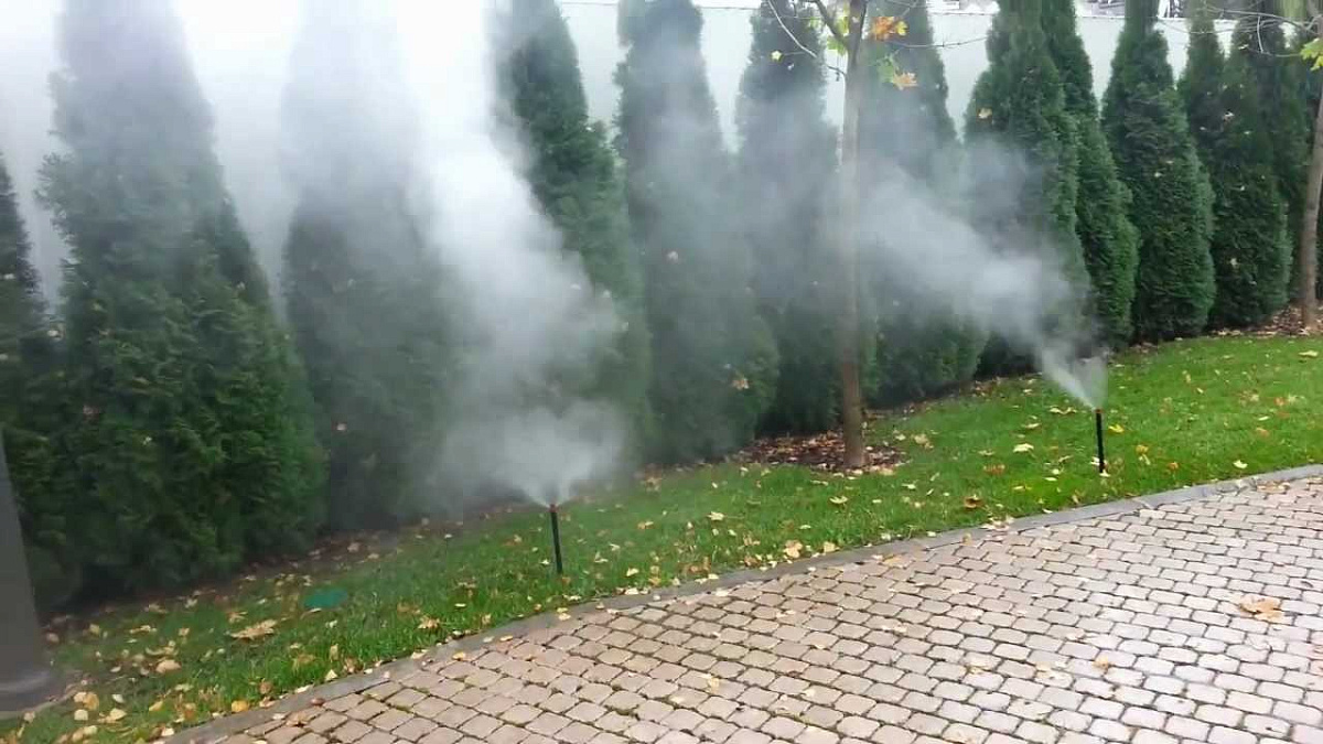 Осенняя консервация