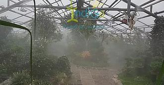 Система тумана в ботаническом саду