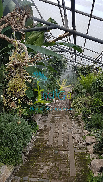Система туманообразования высокого давления в оранжерее Новосибирского ботанического сада